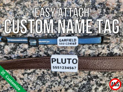 Pet Collar Name Tag (Easy Clip On)