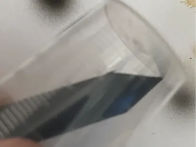 Paintcup scraper