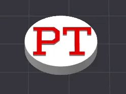 PT earrings