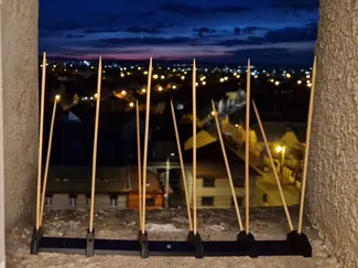 DIY Bird & Pigeon Spike System – 300mm