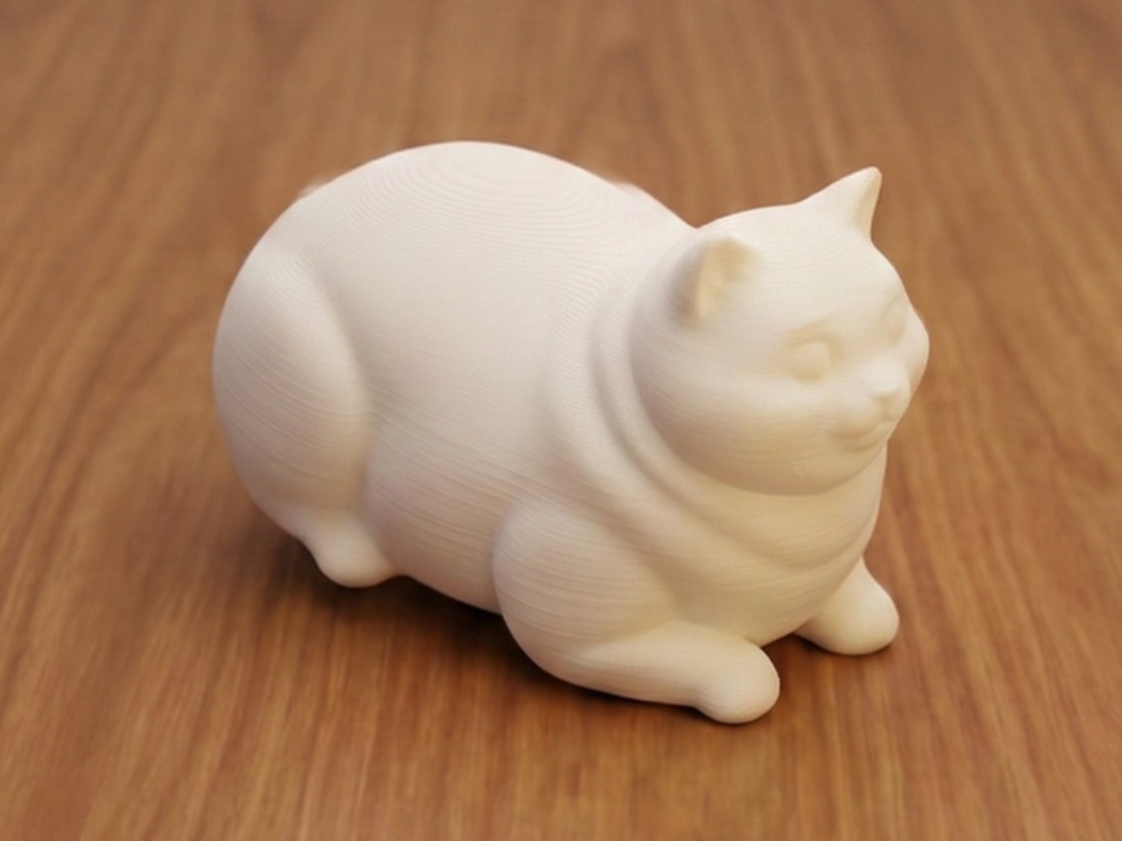 Super Chonk Cat – Adorable Lying Kitty