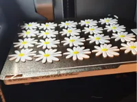 Multiple daisy flowers (20)