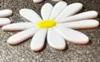 One daisy flower