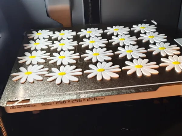 https://makerworld.bblmw.com/makerworld/model/USc5b0931d981001/design/8d7eb1946a84075b.jpg