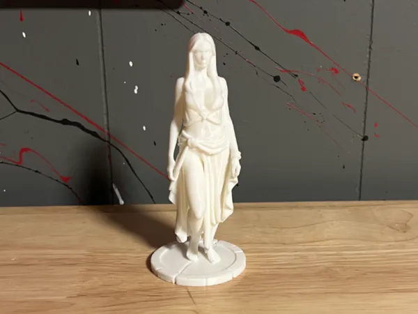 https://makerworld.bblmw.com/makerworld/model/USc5b3f49480c297/design/2025-07-29_655bb34ec80478.jpg