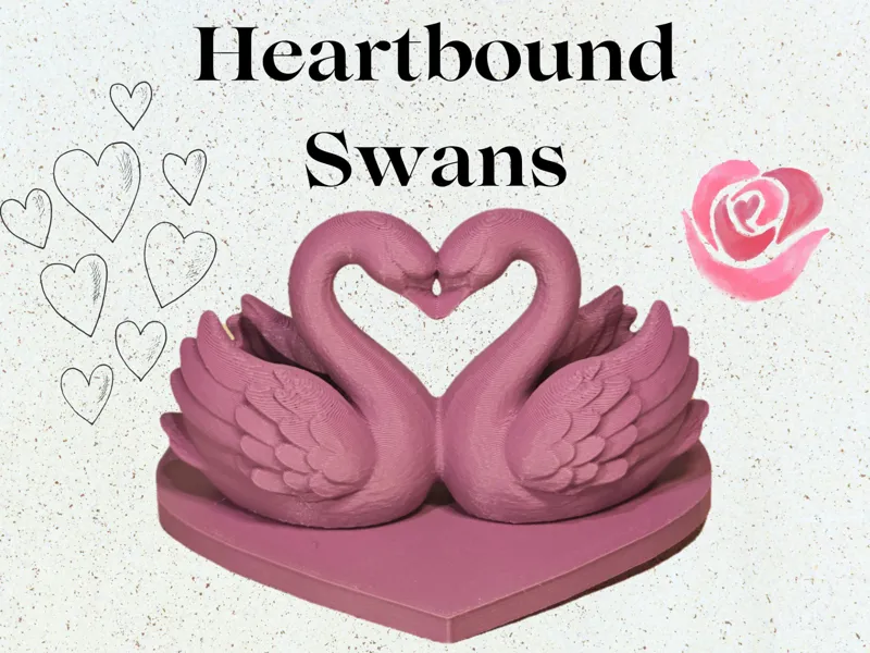 Romantic Heartbound Swans | Valentine's Model