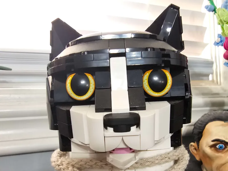 Tuxedo Cat Nose