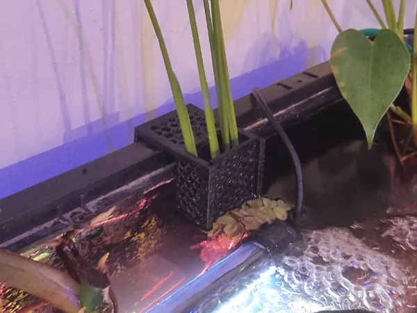 https://makerworld.bblmw.com/makerworld/model/USc5ba113cdd93ee/design/2025-10-05_a5675c6e0330e8.jpg