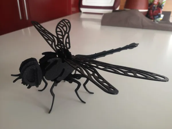 Libellule 3D à assembler