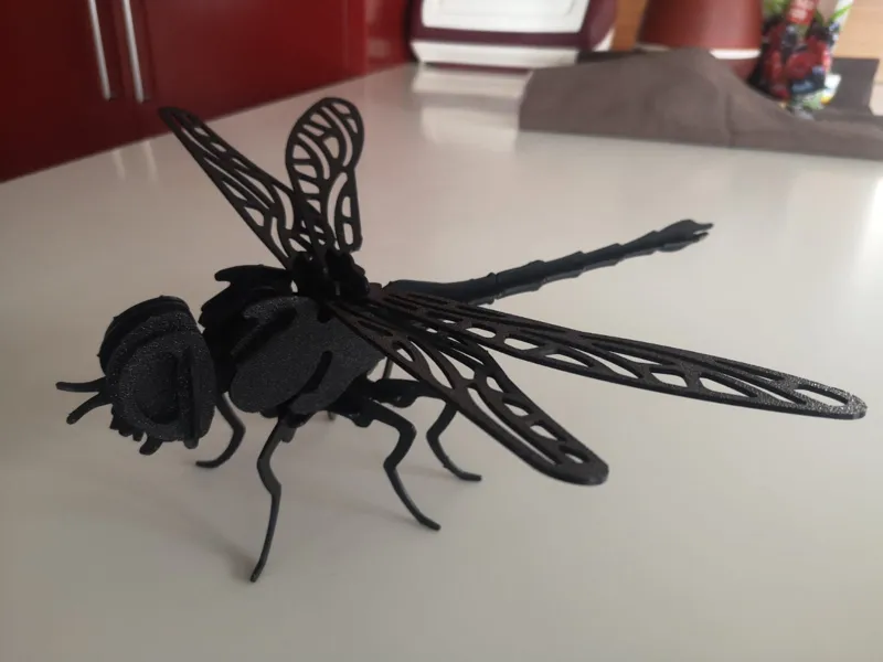 Dragonfly_3D