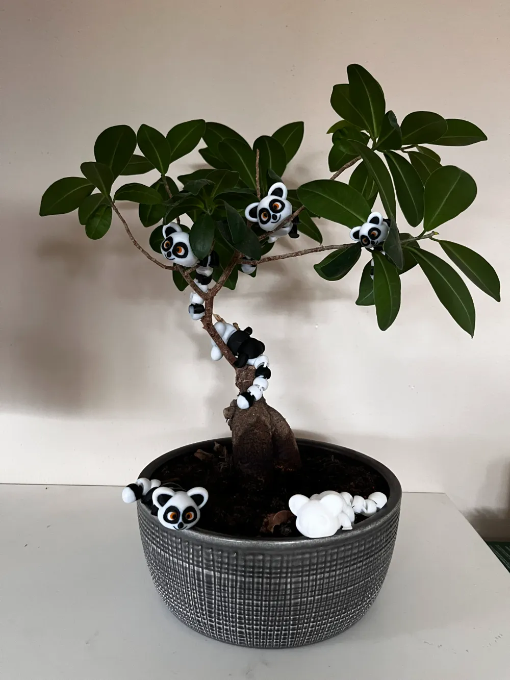 Flexible Lemur - Free 3D Print Model - MakerWorld