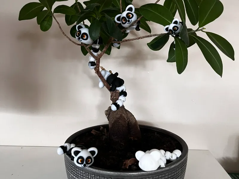 Flexible Lemur