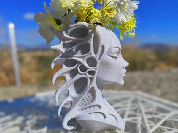 https://makerworld.bblmw.com/makerworld/model/USc5c516346d4280/design/2025-07-27_2f951107b0be4.jpg