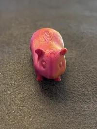 Petit cochon d'Inde — photo 6
