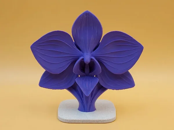 https://makerworld.bblmw.com/makerworld/model/USc5c7785ed59bc2/design/2025-11-03_5271aac5de2e88.jpg