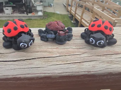 Ladybug