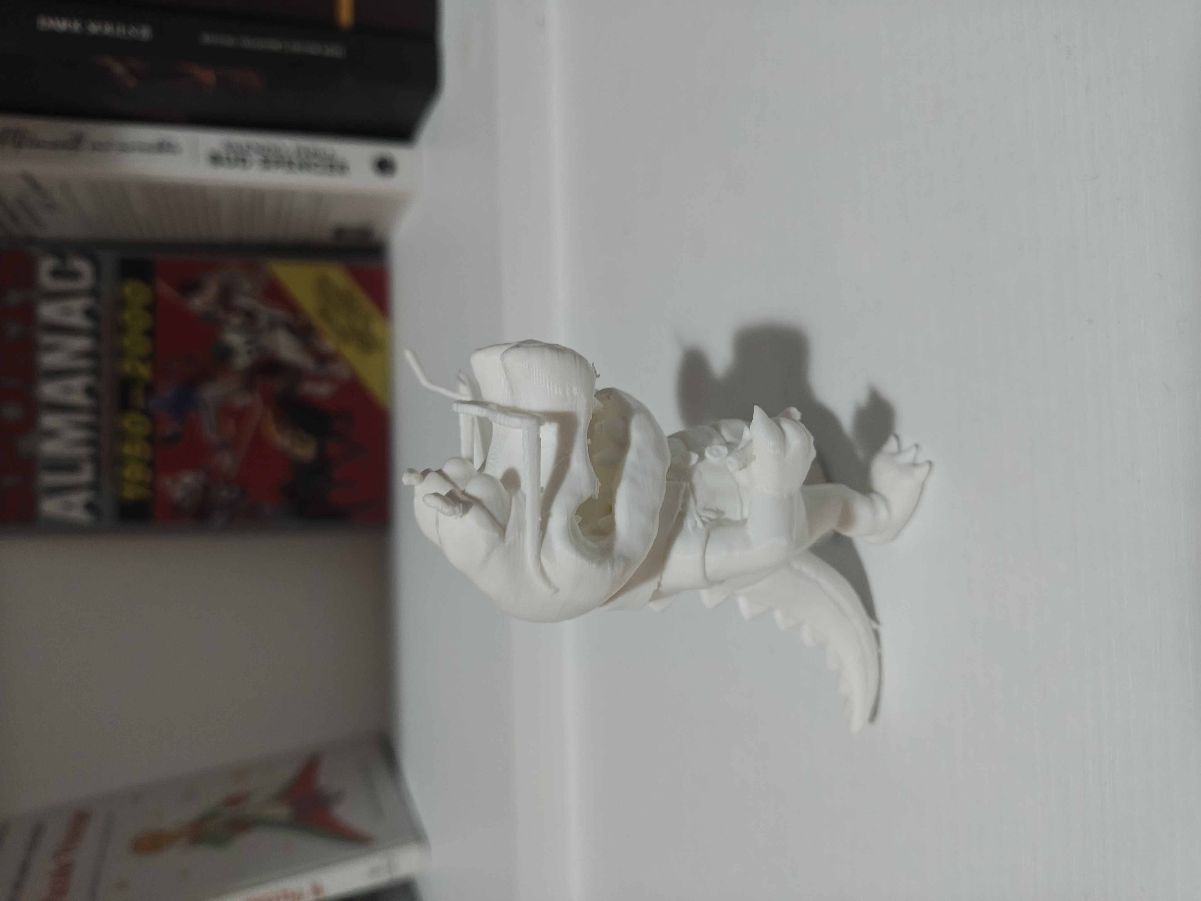 Foto 7