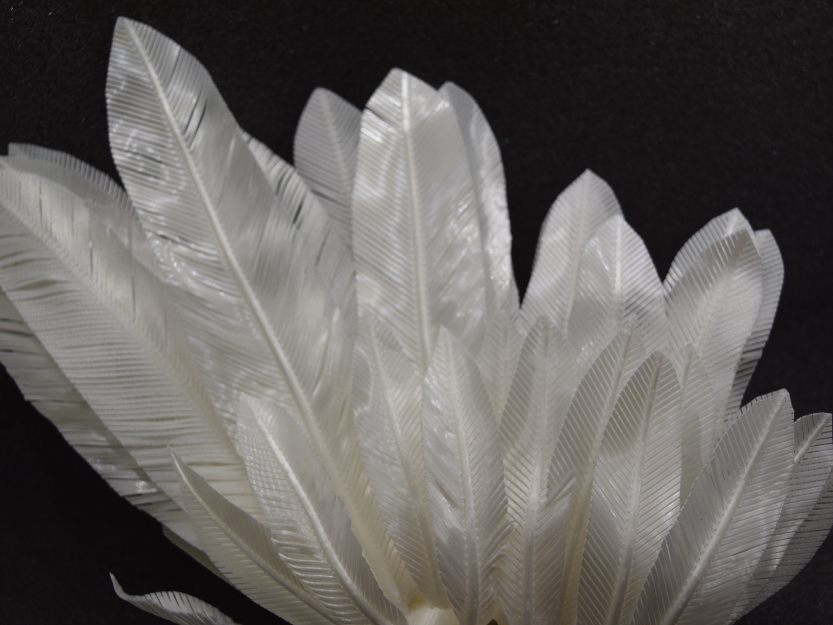 Cosplay Feathers
