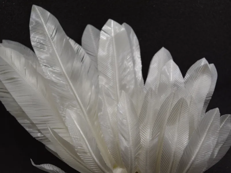 Cosplay Feathers