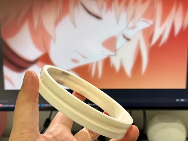 https://makerworld.bblmw.com/makerworld/model/USc5cf773056972/design/2026-01-16_c2481b0036f41.jpeg