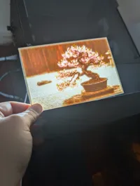 0.2mm layer, 2 walls, 15% infill