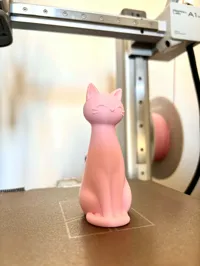 0.16mm layer, 2 walls, 15% infill