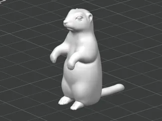 Prairie dog