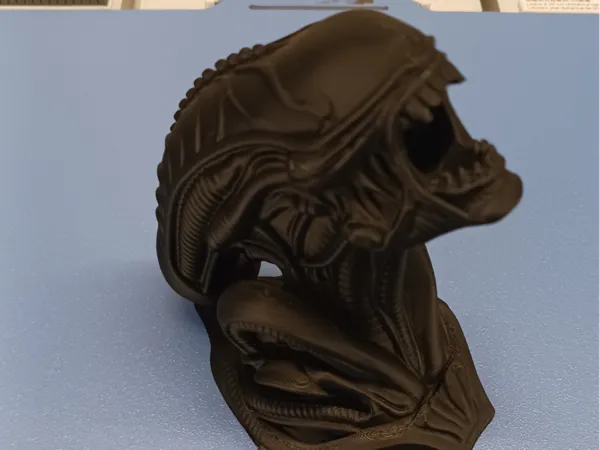 https://makerworld.bblmw.com/makerworld/model/USc5dcf30f9b5840/design/6cccfae570e7751b.jpg