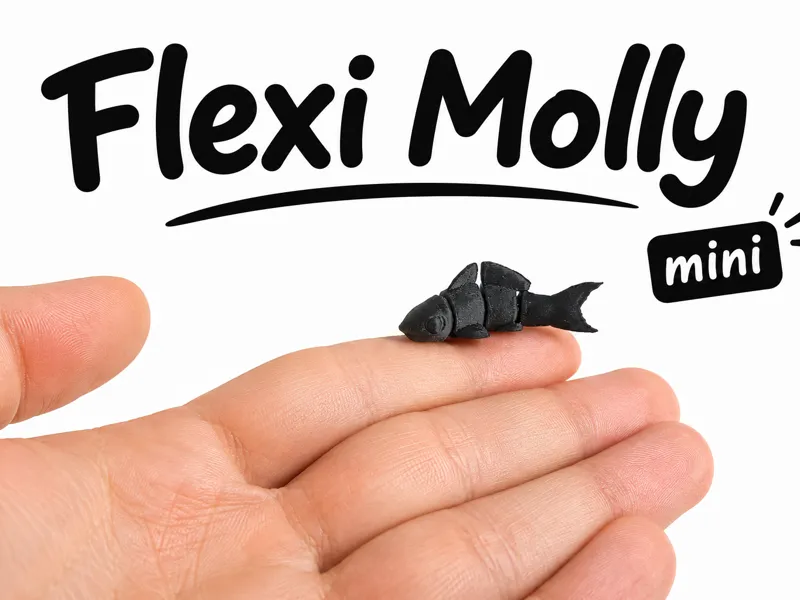 Mini Flexi MolIy