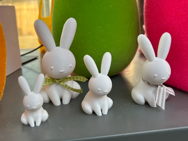 https://makerworld.bblmw.com/makerworld/model/USc5df5e4079d6e3/design/2025-03-01_d4ef0e85e9dfb.jpeg