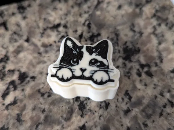 https://makerworld.bblmw.com/makerworld/model/USc5e234ddef02d7/design/2025-03-14_5e5b35e8251ab.jpg