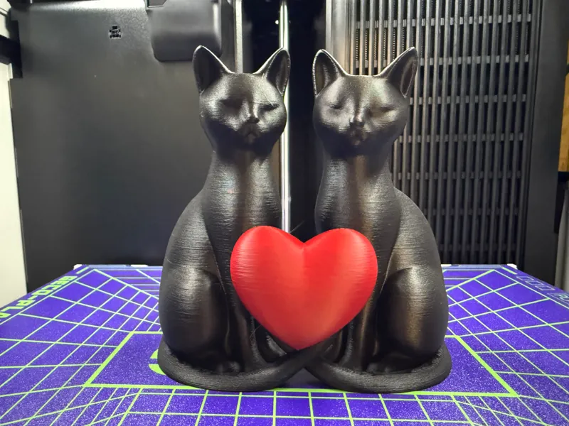 Süße Katzen mit Herz