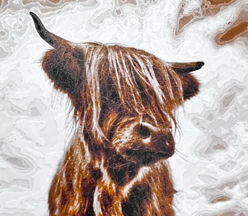 Highland Cow #3