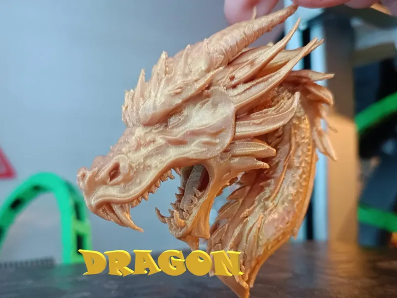 Dragon Head