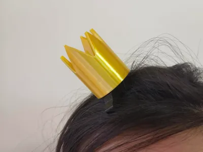 Beaver Transformation Plan Crown Hairpin