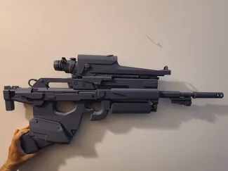 Destiny Crypt Dweller Scout Rifle