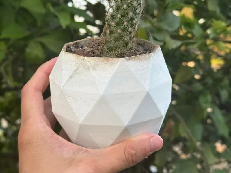 Vase Geometric