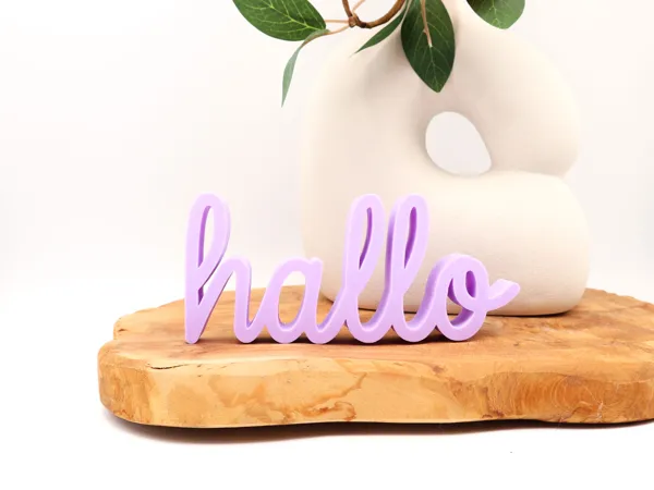 https://makerworld.bblmw.com/makerworld/model/USc5f51f597cee12/design/2025-06-13_5fdfe7cd07b71.jpg