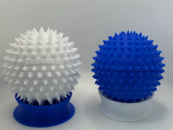 https://makerworld.bblmw.com/makerworld/model/USc5f794b8bb4b01/design/2025-05-24_e09fe21d62c7e.jpeg