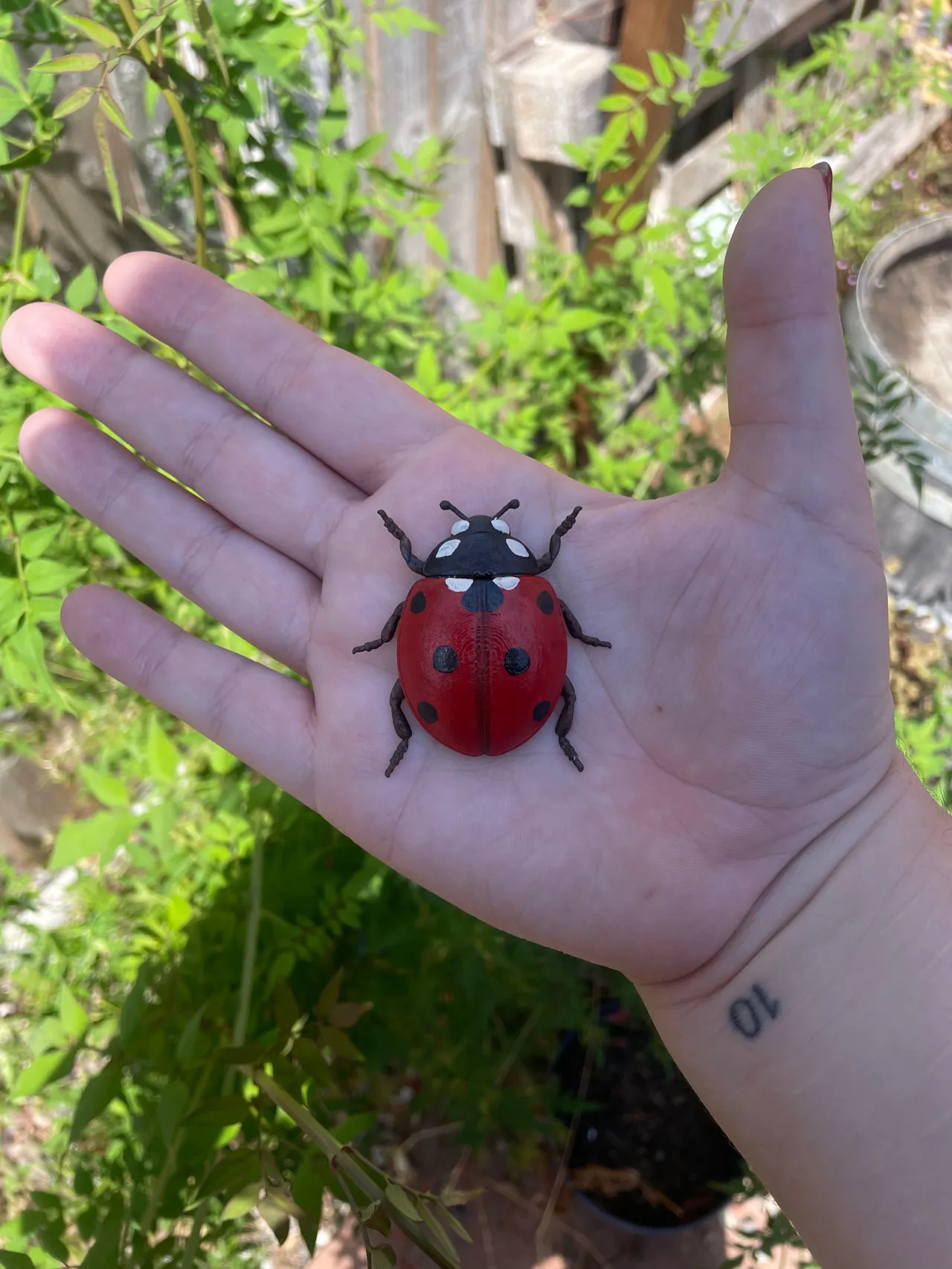 Ladybird Beetle – Flat‑Bottom Wall Decor view 3