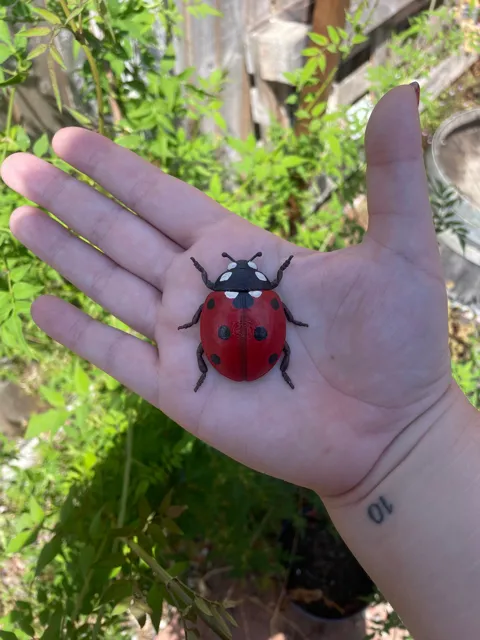 Ladybird Beetle – Flat‑Bottom Wall Decor view 3