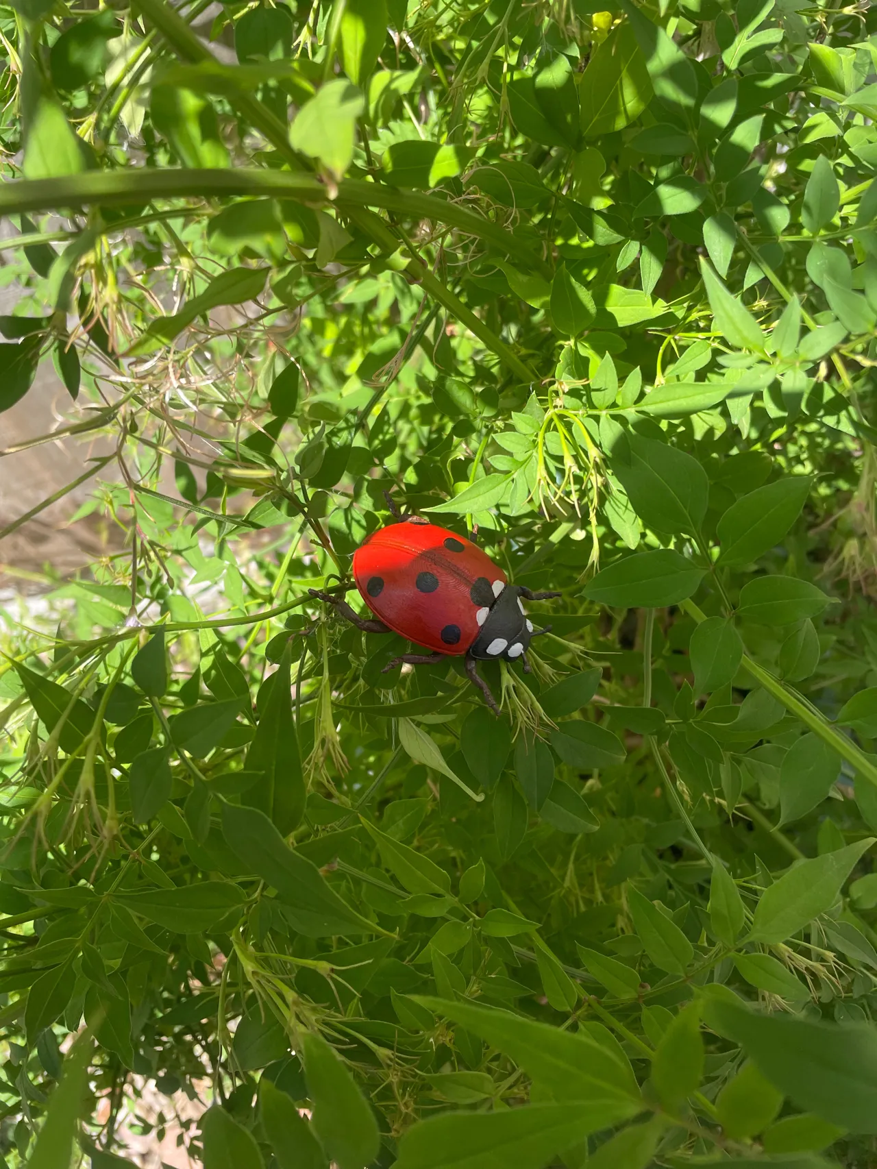 Ladybird Beetle – Flat‑Bottom Wall Decor view 2