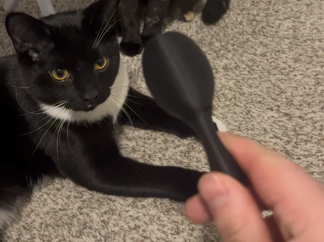 Mini Maraca Cat Toy
