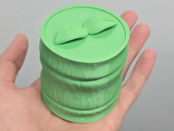 https://makerworld.bblmw.com/makerworld/model/USc5fca82c9836a5/design/2025-01-09_673620cc1fb2b.jpg