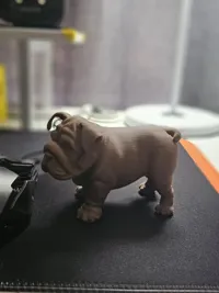 Bulldog (réaliste) — photo 5