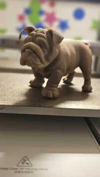 Bulldog (réaliste) — photo 4