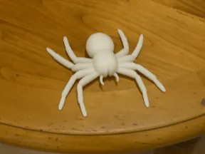 spider