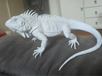 Leguan