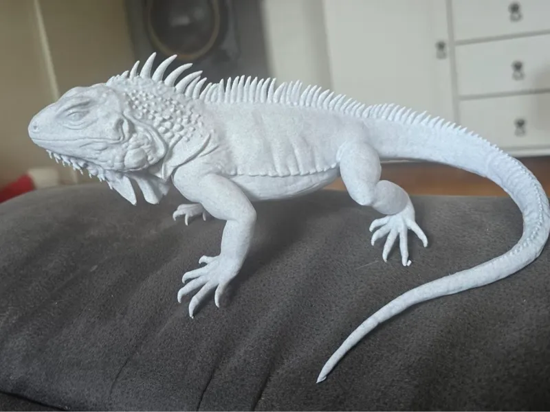 Leguan