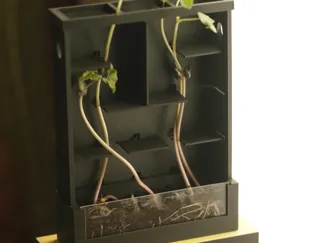 Laberinto Vegetal